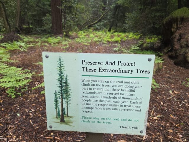 Henry Cowell State Park sign