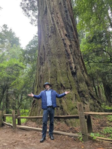 Jason Payne standing among the giant redwoods at Henry Cowell Redwoods State Park.
