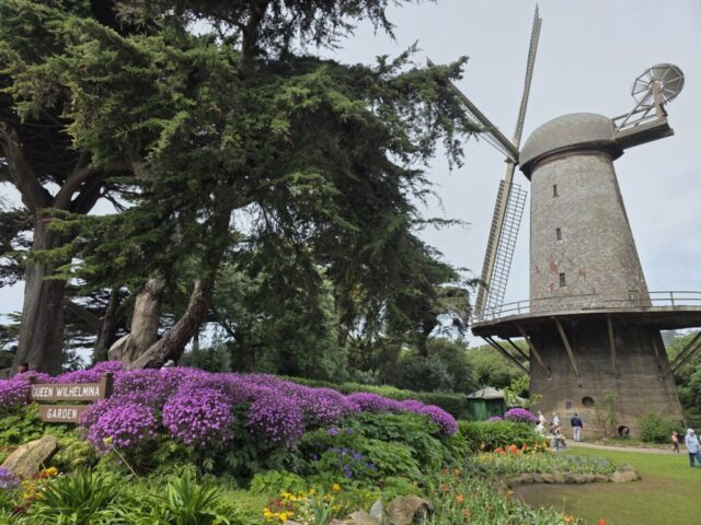 The Dutch Windmill in Golden Gate Park during the San Francisco 2026 trek.